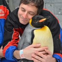 Dubai: A Perfect Place To Hug A Penguin!